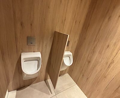 toilet renovatie